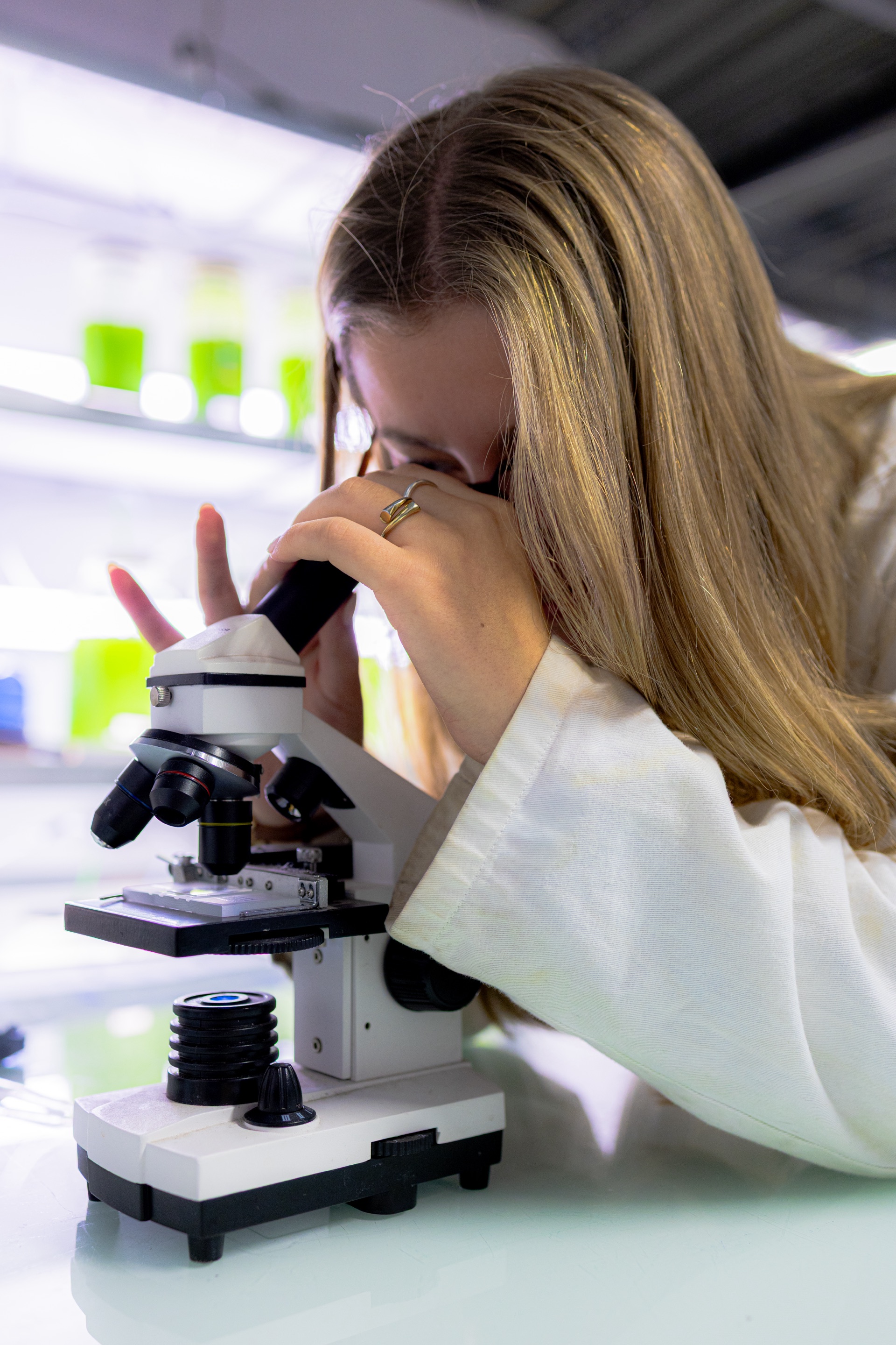 Analyse microscopique des microalgues Bioteos